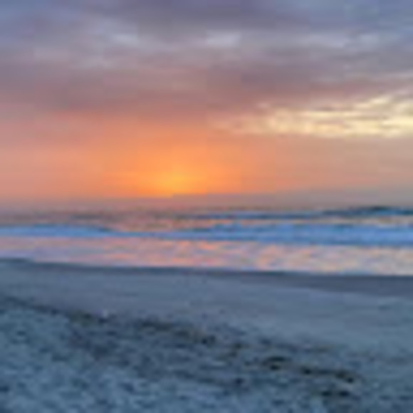 Meet your Posher, Gabriella - Picture 1 of 1